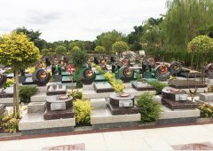 上海汇龙园星火区