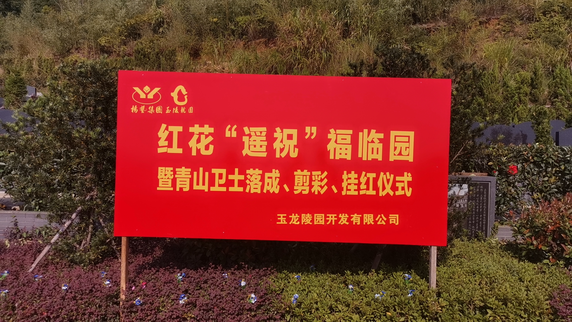 红花传爱意，情满玉龙园！