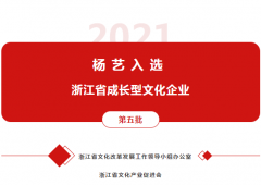 CC网投入选 “浙江省成长型文化企业”