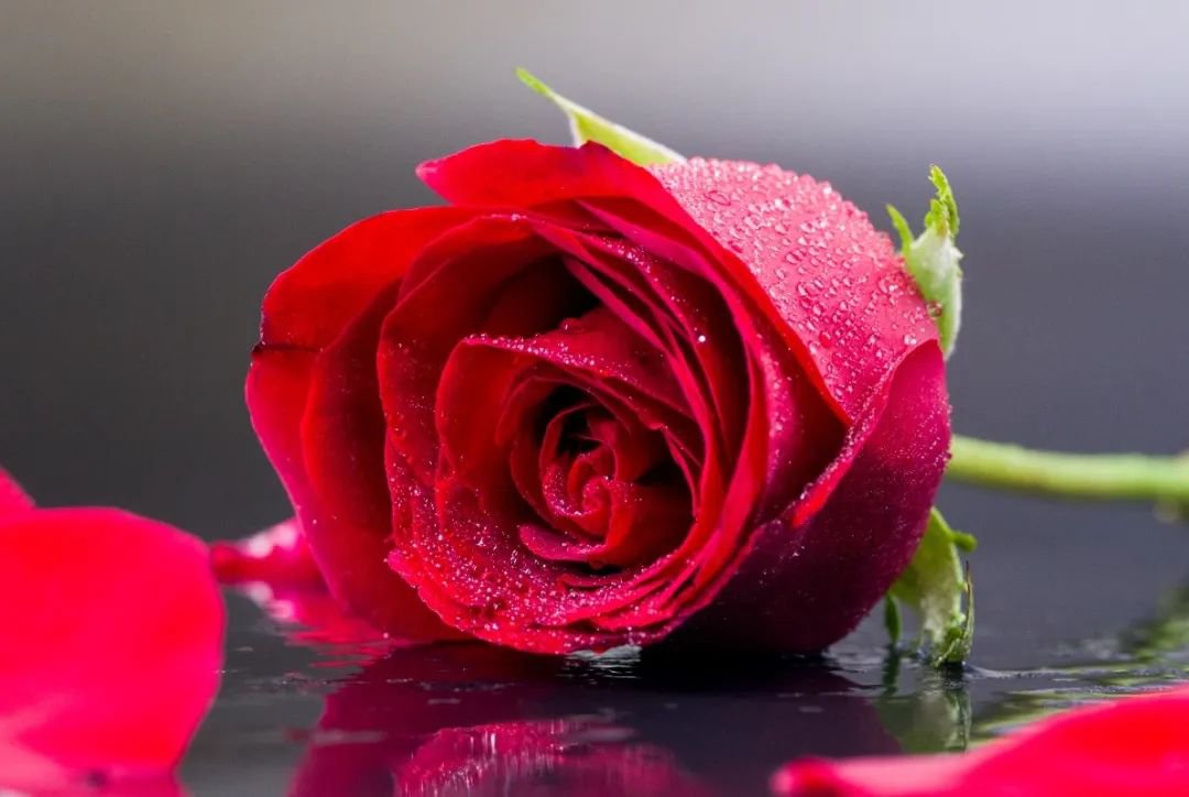 女神节 | 致敬“她”力量，共筑美好未来